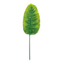 Banana leaf textile     Size: 60 cm    Color: green