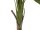 EUROPALMS Banana Tree, artificial plant, 145cm