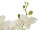 EUROPALMS Orchid, artificial plant, cream, 80cm