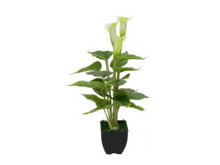 EUROPALMS Calla mini, Kunstpflanze, weiß, 43cm