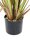 EUROPALMS Bulrush, artificial plant, 120cm