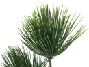 EUROPALMS Papyrus, Kunstpflanze, 100cm