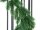 EUROPALMS Fir garland, artificial, 180cm