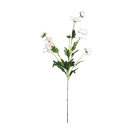 Margeritenzweig 5-fach     Groesse: 80cm    Farbe:...