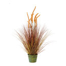 Reed grass bundle in metal pot - Material: made of...