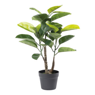 Ficus Gummibaum 24 Blätter, aus Kunststoff/Kunstseide     Groesse: 70cm, Topf: Ø 16cm    Farbe: grün