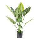 Aureum Bonsai 9 leaves, out of plastic/artificial silk...