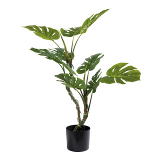 Monstera 10 leaves, out of plastic/artificial silk     Size: 100cm, pot: Ø15,5cm    Color: green