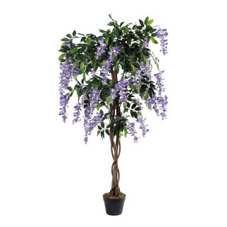 Wisteria tree in pot ca. 840 leaves, out of artificial silk/plastic/wood     Size: 150cm, high 13cm, Ø 17cm    Color: purple/green