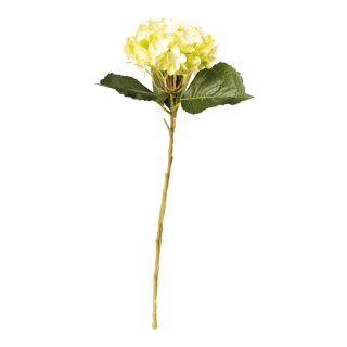 Hydrangea on stem out of plastic/ artificial silk, flexible     Size: 50cm, Ø15cm, stem: 32cm    Color: green