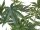 EUROPALMS Cannabis-plant, artificial plant, 120cm