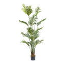 Palm in pot 17 leaves, out of plastic     Size: 160cm,...