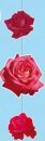 Hänger "Rosen" aus Papier 90 x 30cm
