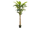 EUROPALMS Bananenbaum, Kunstpflanze, 210cm