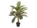 EUROPALMS Kokospalme, Kunstpflanze,  90cm