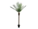 EUROPALMS Phönix Palme deluxe, Kunstpflanze  220cm