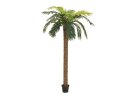 EUROPALMS Phönix Palme deluxe, Kunstpflanze, 250cm