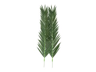 EUROPALMS Coconut King Palm Branch, artificial, 210cm