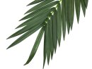 EUROPALMS Coconut King Palm Branch, artificial, 210cm