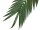 EUROPALMS Coconut King Palm Branch, artificial, 210cm