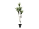 EUROPALMS Yucca Palme, Kunstpflanze, 130cm