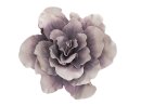 EUROPALMS Giant Flower (EVA), artificial, rose, 80cm