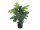 EUROPALMS Split philo, artificial plant, 38cm