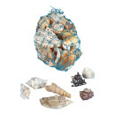 Shells 300g/bag - Material: natural material - Color:...